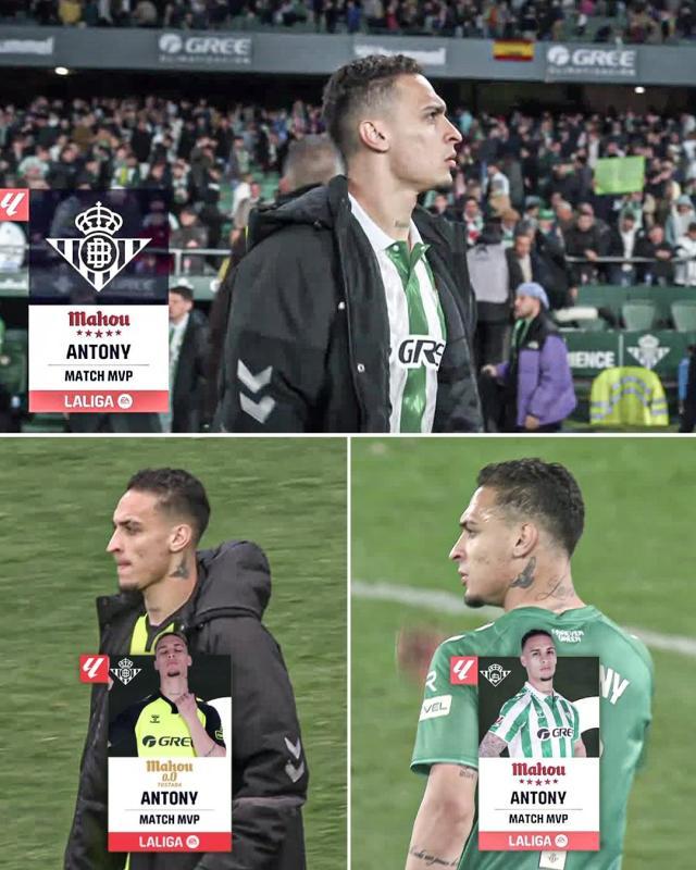 1739836325897052231.jpg 202502171654214913.jpg